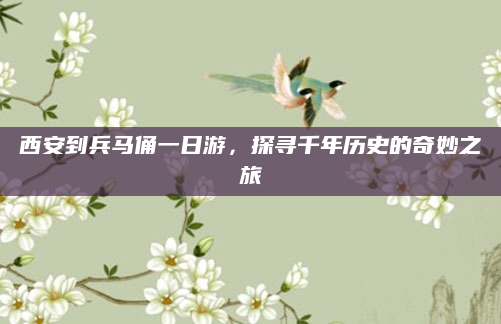 西安到兵马俑一日游,探寻千年历史的奇妙之旅