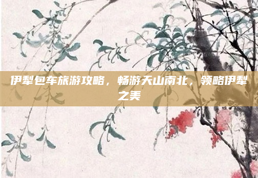 伊犁包车旅游攻略,畅游天山南北,领略伊犁之美