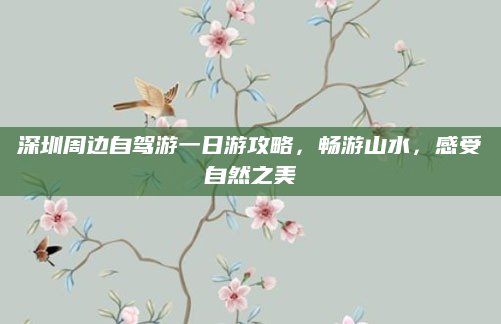 深圳周边自驾游一日游攻略,畅游山水,感受自然之美