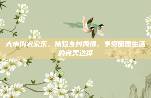 大水川农家乐,体验乡村风情,享受田园生活的完美选择
