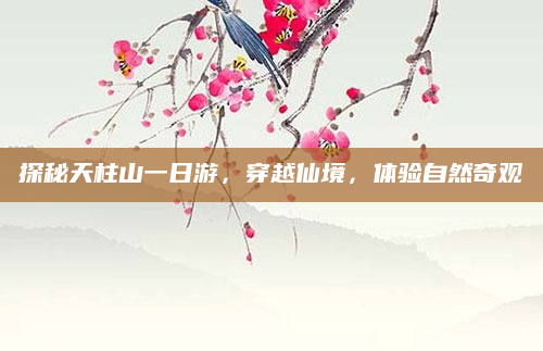 探秘天柱山一日游,穿越仙境,体验自然奇观