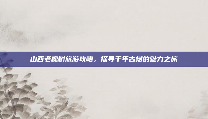 山西老槐树旅游攻略,探寻千年古树的魅力之旅