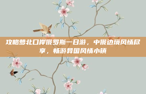 攻略萝北口岸俄罗斯一日游,中俄边境风情尽享,畅游异国风情小镇