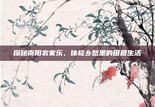 探秘南阳农家乐,体验乡愁里的田园生活