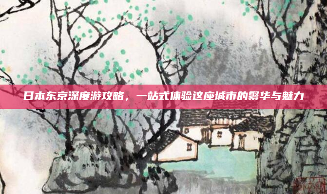 日本东京深度游攻略,一站式体验这座城市的繁华与魅力