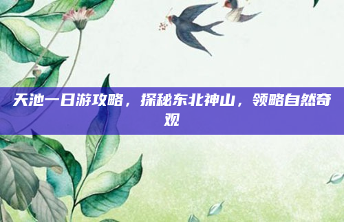 天池一日游攻略,探秘东北神山,领略自然奇观