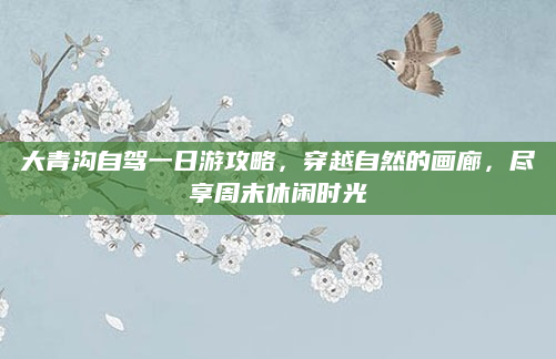 大青沟自驾一日游攻略，穿越自然的画廊，尽享周末休闲时光