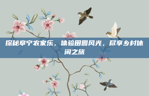 探秘阜宁农家乐,体验田园风光,尽享乡村休闲之旅