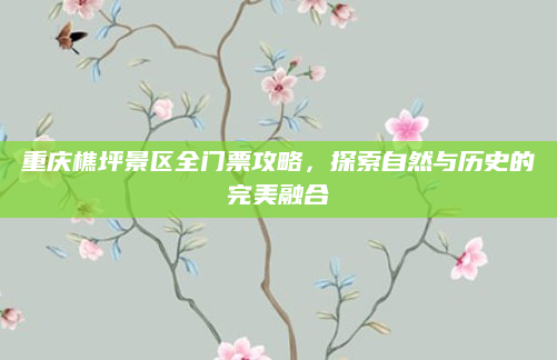 重庆樵坪景区全门票攻略,探索自然与历史的完美融合