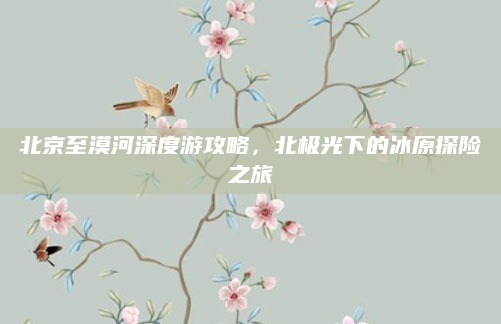 北京至漠河深度游攻略,北极光下的冰原探险之旅