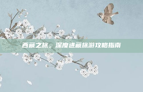 西藏之旅,深度进藏旅游攻略指南