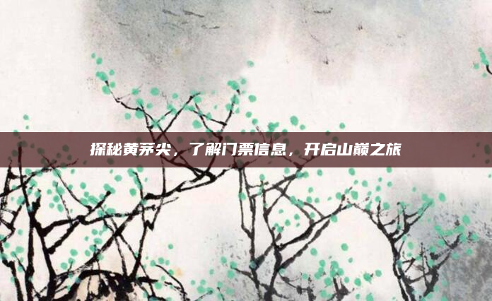 探秘黄茅尖，了解门票信息，开启山巅之旅
