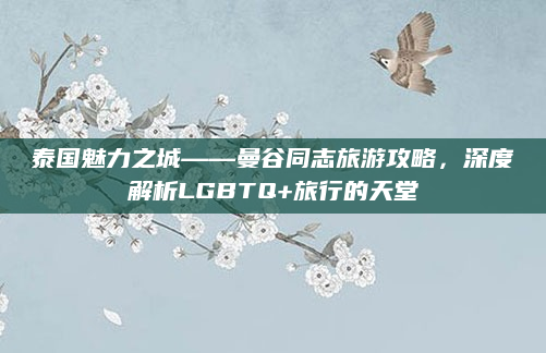 泰国魅力之城——曼谷同志旅游攻略,深度解析LGBTQ+旅行的天堂