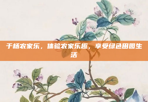 于杨农家乐,体验农家乐趣,享受绿色田园生活