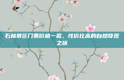 石林景区门票价格一览，性价比高的自然奇观之旅