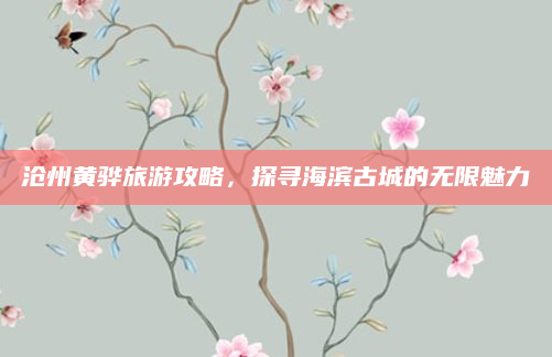沧州黄骅旅游攻略，探寻海滨古城的无限魅力