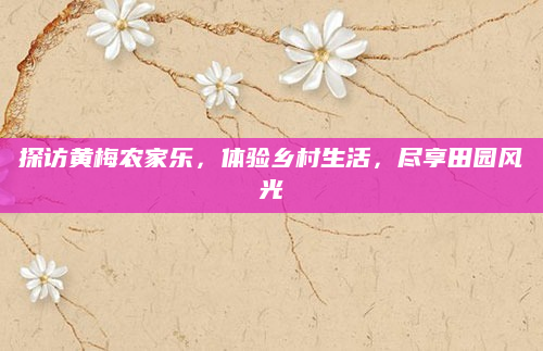 探访黄梅农家乐,体验乡村生活,尽享田园风光