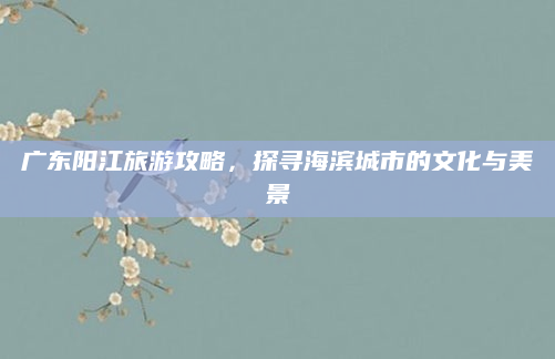广东阳江旅游攻略,探寻海滨城市的文化与美景