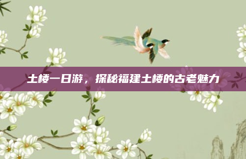 土楼一日游,探秘福建土楼的古老魅力