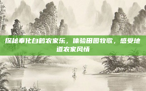 探秘奉化白鹤农家乐,体验田园牧歌,感受地道农家风情
