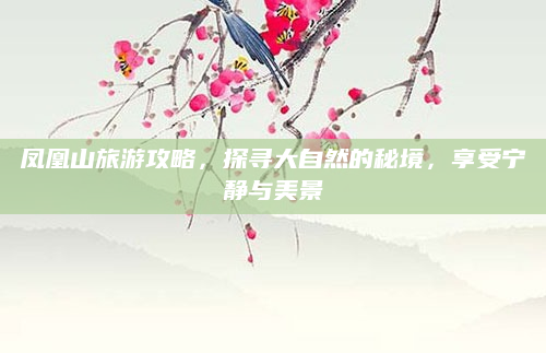 凤凰山旅游攻略,探寻大自然的秘境,享受宁静与美景