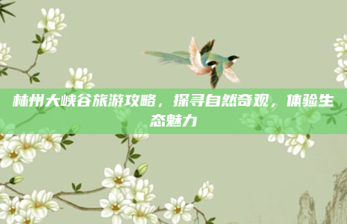 林州大峡谷旅游攻略，探寻自然奇观，体验生态魅力
