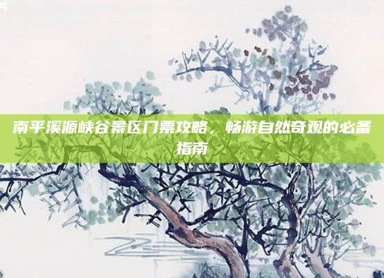 南平溪源峡谷景区门票攻略,畅游自然奇观的必备指南
