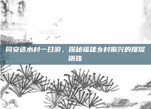 同安造水村一日游，探秘福建乡村振兴的璀璨明珠