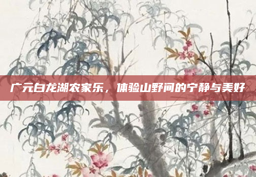 广元白龙湖农家乐,体验山野间的宁静与美好