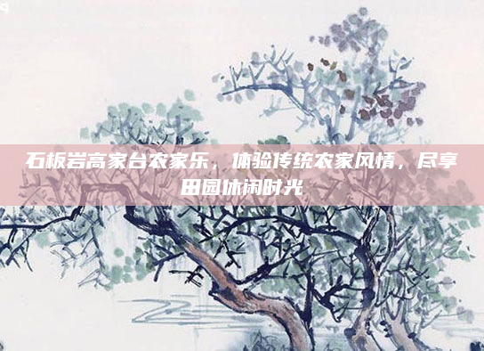 石板岩高家台农家乐,体验传统农家风情,尽享田园休闲时光