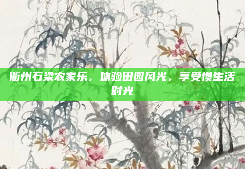 衢州石梁农家乐，体验田园风光，享受慢生活时光