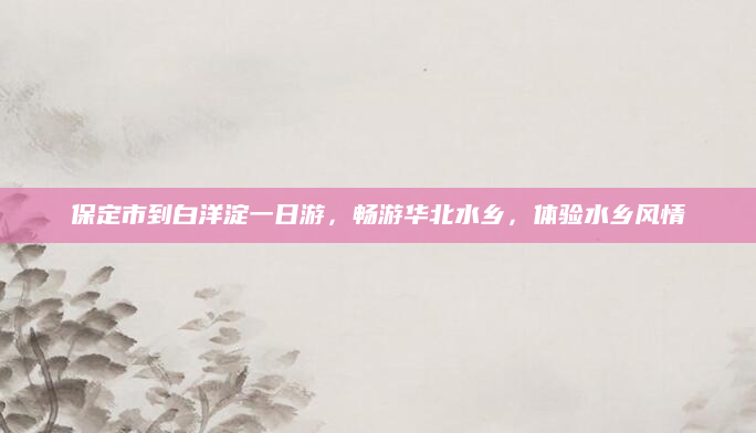 保定市到白洋淀一日游，畅游华北水乡，体验水乡风情