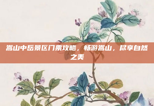 嵩山中岳景区门票攻略,畅游嵩山,尽享自然之美