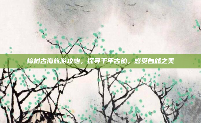 樟树古海旅游攻略,探寻千年古韵,感受自然之美