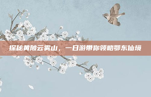 探秘黄陂云雾山，一日游带你领略鄂东仙境