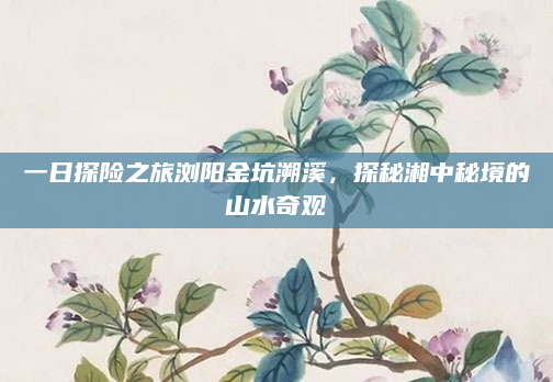 一日探险之旅浏阳金坑溯溪,探秘湘中秘境的山水奇观