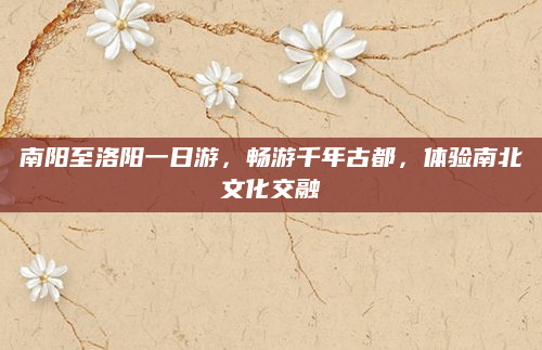 南阳至洛阳一日游，畅游千年古都，体验南北文化交融