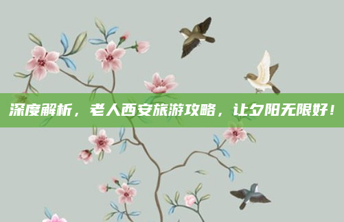 深度解析,老人西安旅游攻略,让夕阳无限好!