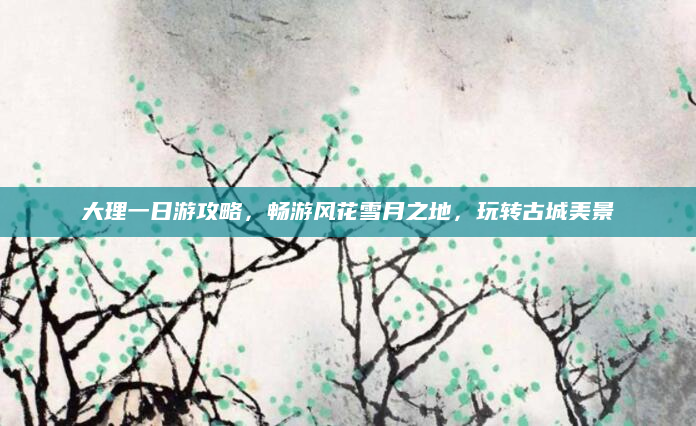 大理一日游攻略,畅游风花雪月之地,玩转古城美景
