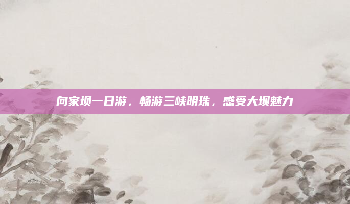 向家坝一日游,畅游三峡明珠,感受大坝魅力