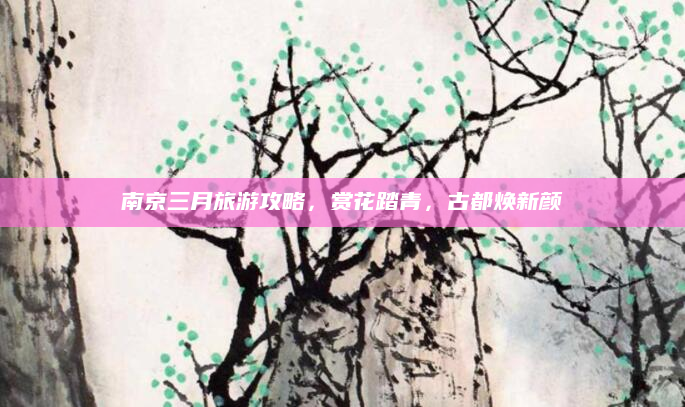 南京三月旅游攻略,赏花踏青,古都焕新颜