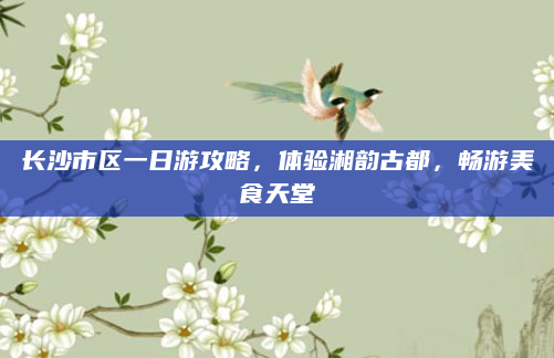 长沙市区一日游攻略,体验湘韵古都,畅游美食天堂