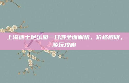 上海迪士尼乐园一日游全面解析,价格透明,游玩攻略