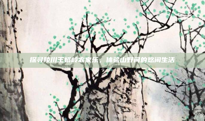 探寻陵川王蟒岭农家乐,体验山野间的悠闲生活