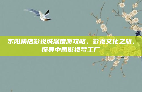 东阳横店影视城深度游攻略,影视文化之旅,探寻中国影视梦工厂