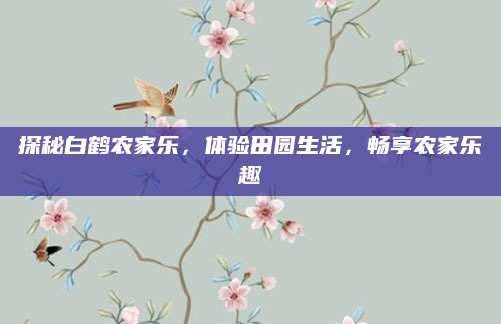 探秘白鹤农家乐,体验田园生活,畅享农家乐趣