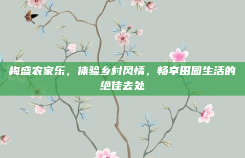 梅盛农家乐,体验乡村风情,畅享田园生活的绝佳去处