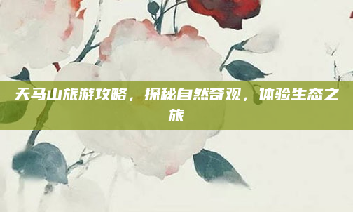 天马山旅游攻略，探秘自然奇观，体验生态之旅