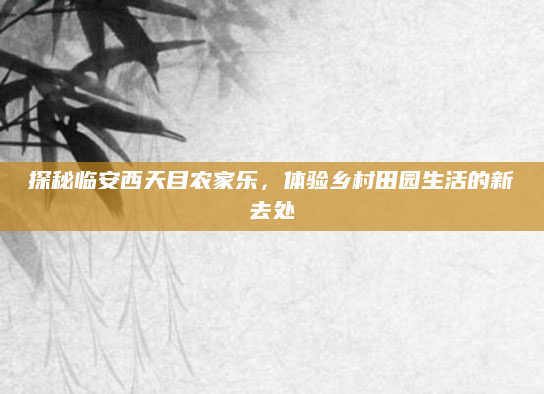 探秘临安西天目农家乐,体验乡村田园生活的新去处