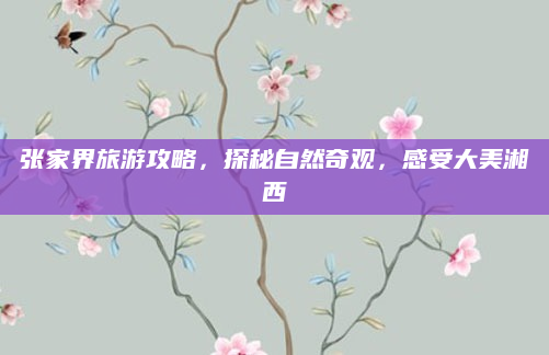 张家界旅游攻略,探秘自然奇观,感受大美湘西